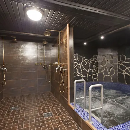 Scandic Hotel 4*