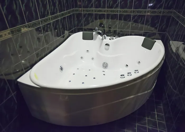 Scandic 호텔 바사